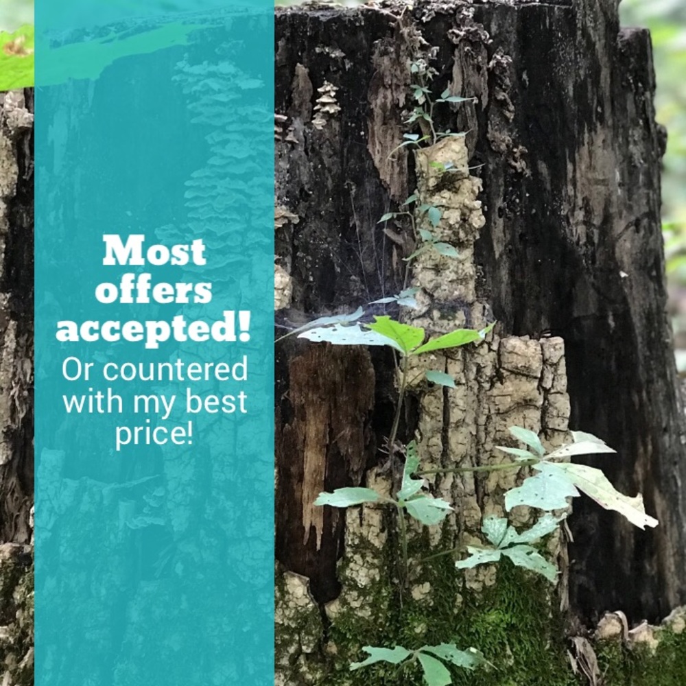 Most offers accepted!